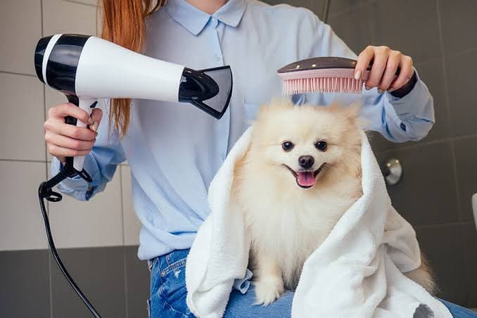 Hair Styling & Dematting